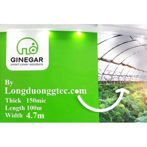 Màng Nhà Kính Ginegar Israel Khổ 4.7m*100m Màng Nhà Kính Ginegar Israel Khổ 4.7m*100m